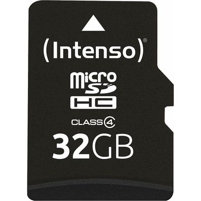 microSDHC 32 GB (Class 4)