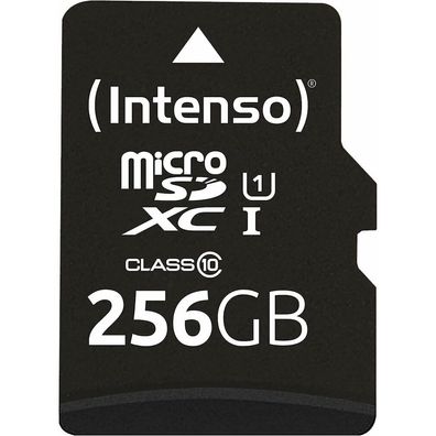 Premium 256 GB microSDXC (schwarz, UHS-I U1, Class 10)