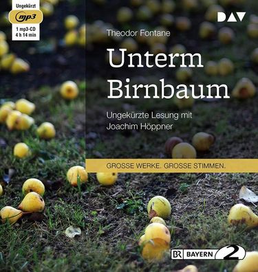 Unterm Birnbaum, 1 Audio-CD, 1 MP3 Software