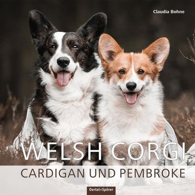 Welsh Corgi, Claudia Bohne