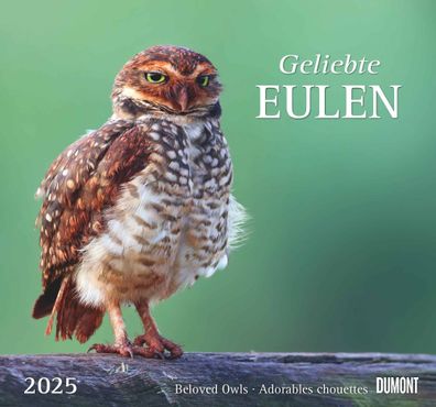 Kalender 2025 -geliebte Eulen 2025- 38 x 35,5cm