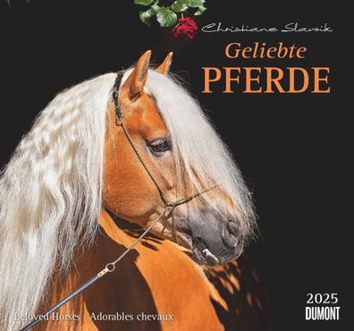 Kalender 2025 -geliebte Pferde 2025- 38 x 35,5cm
