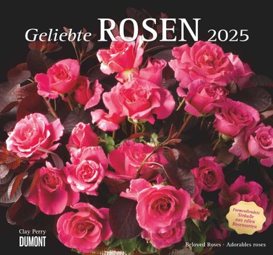 Kalender 2025 -geliebte Rosen 2025- 38 x 35,5cm