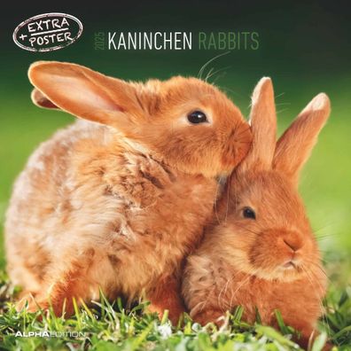 Kalender 2025 -Kaninchen 2025- 30 x 30cm