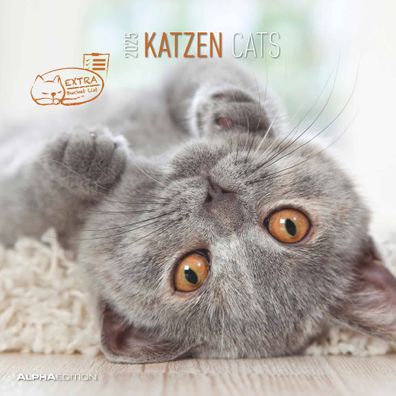 Kalender 2025 -Katzen 2025- 30 x 30cm