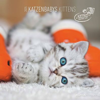 Kalender 2025 -Katzenbabys 2025- 30 x 30cm