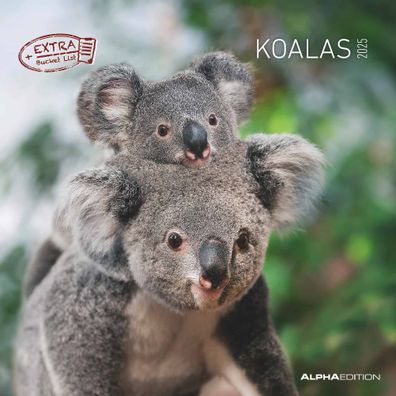 Kalender 2025 -Koalas 2025- 30 x 30cm