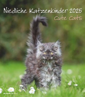 Kalender 2025 -Niedliche Katzenkinder 2025- 30 x 34cm