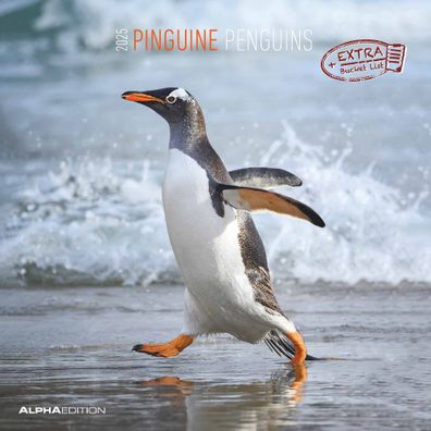 Kalender 2025 -Pinguine 2025- 30 x 30cm