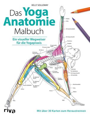 Das Yoga-Anatomie-Malbuch, Kelly Solloway