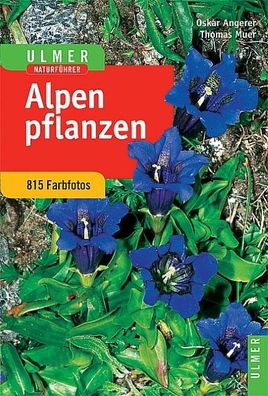 Alpenpflanzen, Thomas Muer