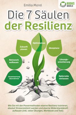 Die 7 S?ulen der Resilienz: Wie Sie mit den Powermethoden eiserne Resilienz ...