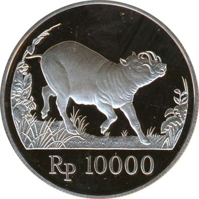 Indonesien 10000 Rupien 1987 PP Hirscheber Silber*