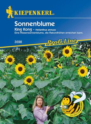 Sonnenblume King Kong, Riesensonnenblume die Rekordhöhen erreichen kann