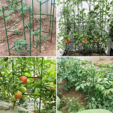 12 Set Rankhilfe Tomaten Pflanzstab Rankstab Rankgeruest Pflanzenstuetze RankturmD