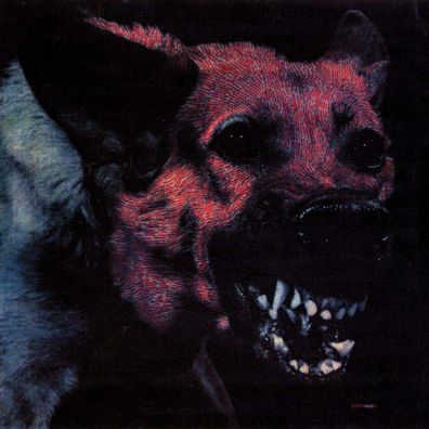 Protomartyr: Under Color Of Official Right - - (LP / U)