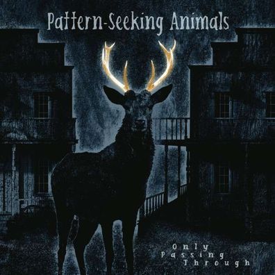 Pattern-Seeking Animals - Only Passing Through (180g) - - (Vinyl / Rock (Vinyl))