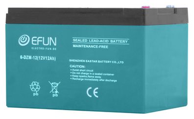 AKKU 12V 12AH, 6-DZM-12 Passend FÜR Elektro Fahrzeuge
