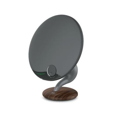 XQISIT Hi-Fi Speaker Bluetooth Lautsprecher Retro-Design Holzoptik schwarz
