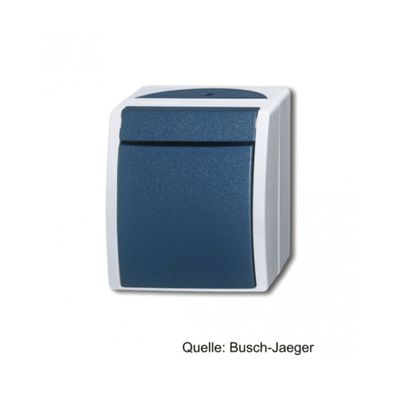 Busch-Jaeger Wipptaster, Schließer, 1polig, grau/ blaugrün 2621 W-53