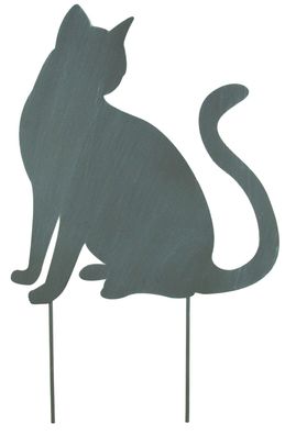 Bezaubernder Beetstecker Katze grau