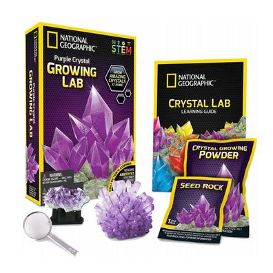Labor Set Lernspielzeug National Geographic Purple Crystal Growing Lab