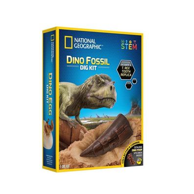 Wissenschaft National Geographic Dinosaurier Fossil Dig Set Dino Dig Set