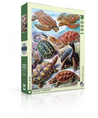 New York Puzzle Company Turtles 1000 stukjes