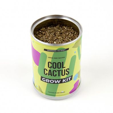 Gift Republic Coole Cactus