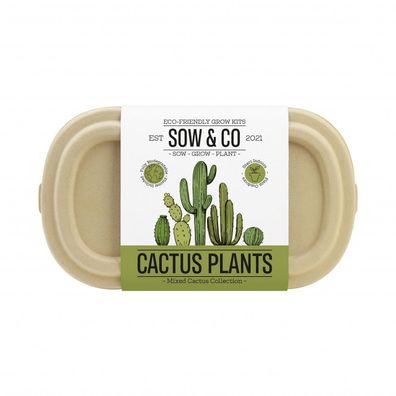 Gift Republic Cactus Planten