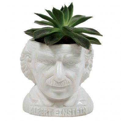 UPG Planter Albert Einstein
UPG Planter Albert Einstein