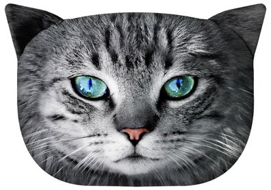 Knuddeliges Designer Kissen mit Katzen-Motiv Dekoration Katzenkissen Dekokissen
