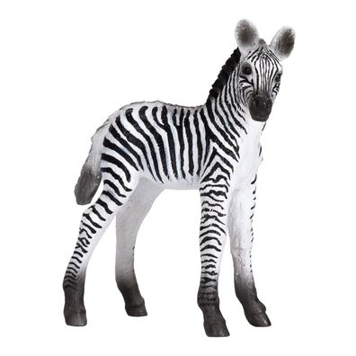Zebrafohlen Figur Tiere Sammlung Animal Planet Wildlife Figuren Action-Figur