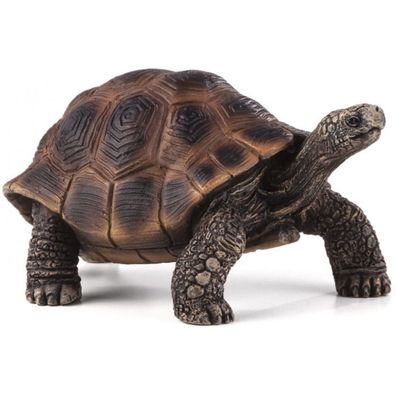Spielfigur Sammlung Tier Action Figur Schildkröten Spielzeug für Kinder