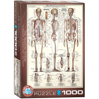 Das Skelett - 1000 Teile Puzzle