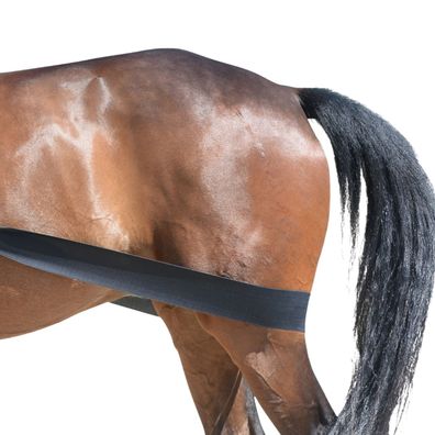 Equest Körper Bandage, schwarz - Trainingshilfsmittel für Pferde, L