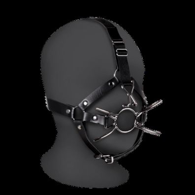 Ouch! by Shots - Head Harness with Spider Gag and