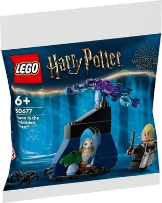 Lego 30677 - Harry Potter Draco In The Forbidden Forest - LEGO 30677 - ...