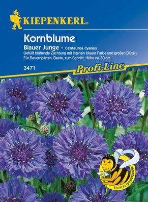 Kiepenkerl® Kornblumen Blauer Junge - Blumensamen
