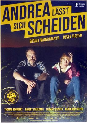 Andrea lässt sich scheiden - Original Kinoplakat A1 - Birgit Minichmayr - Filmposter