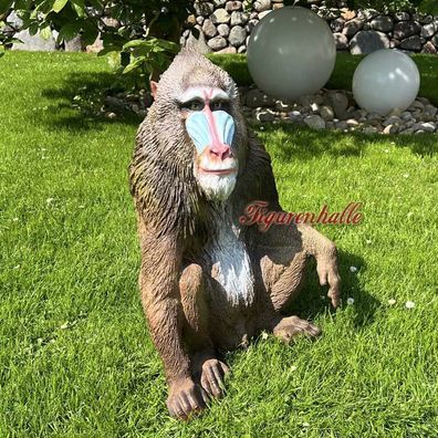 Affe Pavian Jungel Afrika Deko Figur lebensgroß aufstellfigur Dekoration Deko groß