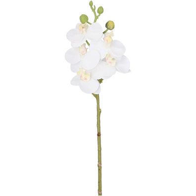 Orchideenzweig Wibe in Weiß 34cm