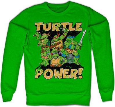 Teenage Mutant Ninja Turtles TMNT Turtle Power! Sweatshirt Green