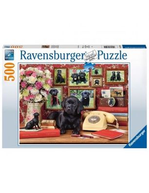 Ravensburger - Puzzle 500 Dogs - Ravensburger - (Spielwaren / ...