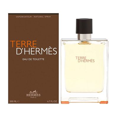 Hermes - Terre d´Hermes - EDT - 100ml - NEU & OVP