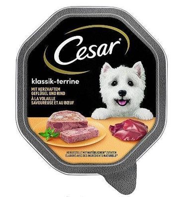 Cesar Klassik-Terrine, 150g Feuchtfutter für Hunde