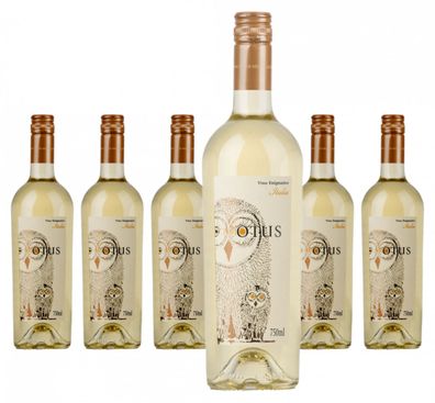 6 x Asio Otus Bianco Vino varietale d'Italia