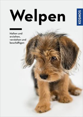 Welpen, Perdita L?bbe-Scheuermann