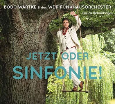 Bodo Wartke: Jetzt oder Sinfonie! - - (CD / Titel: H-P)