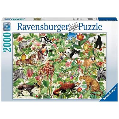 Ravensburger - Puzzle 2000 Jungle - Ravensburger - (Spielware...